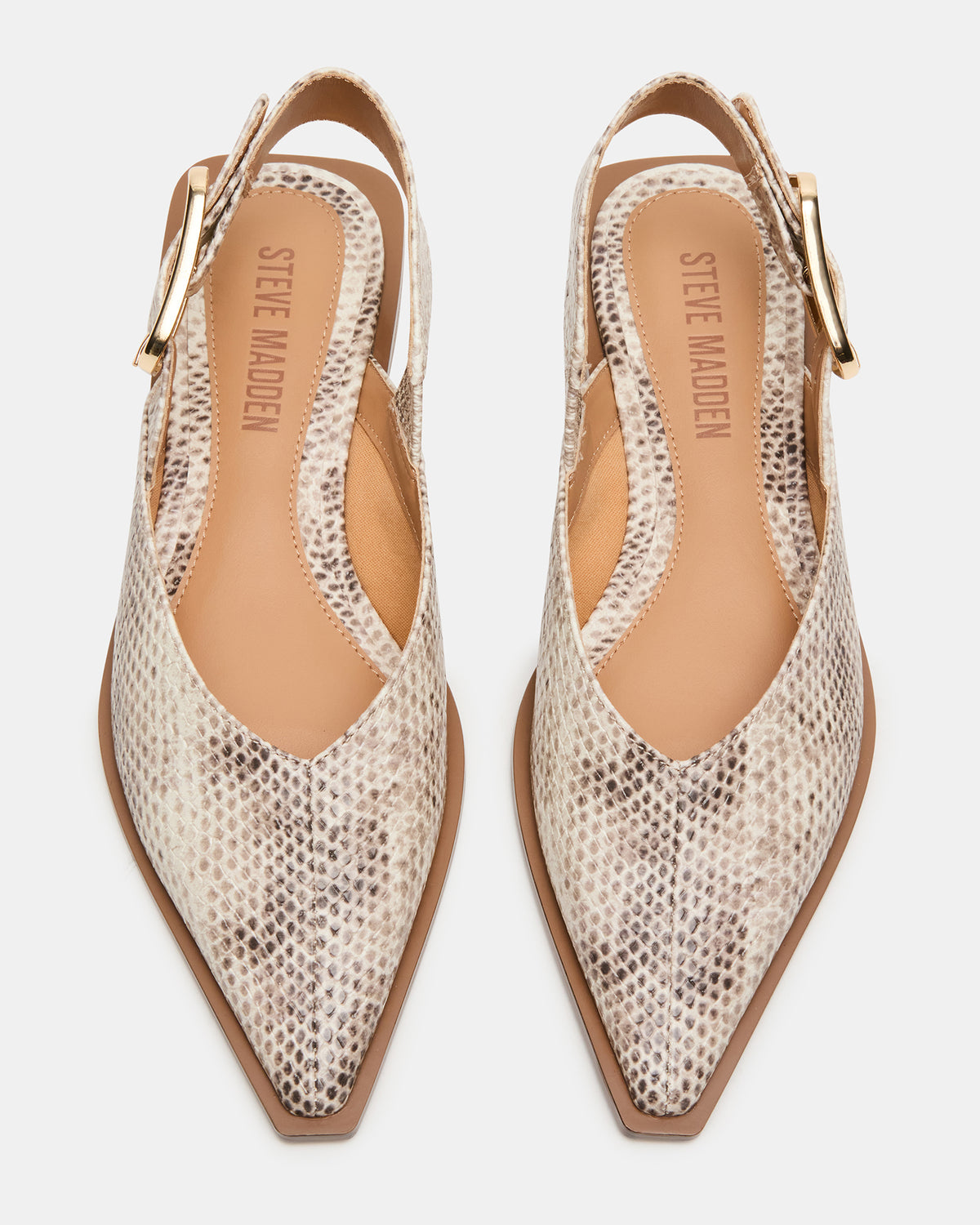 SHAY Snake Pointed-Toe Slingback Ballet Women's Flat