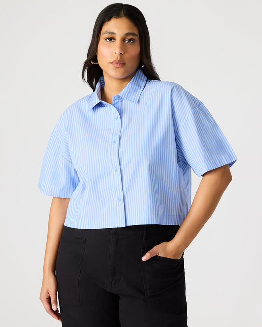 TULA Blue/White Women's Collared Button-Up Pinstripe Top