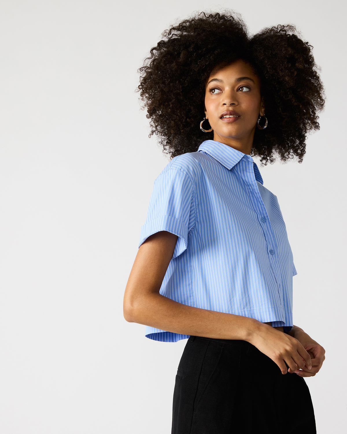 TULA Blue/White Women's Collared Button-Up Pinstripe Top