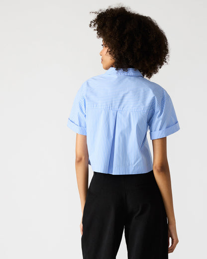 TULA Blue/White Women's Collared Button-Up Pinstripe Top